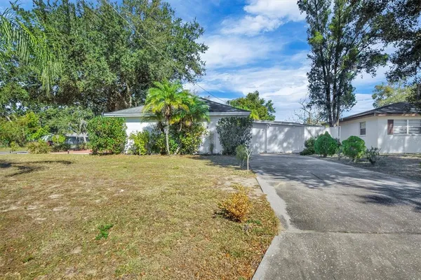 a view of a yard with plants and trees