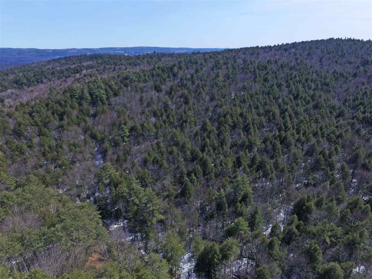1065 Davidson Hill Road Westminster, VT 05158 - Photo 14 of 36