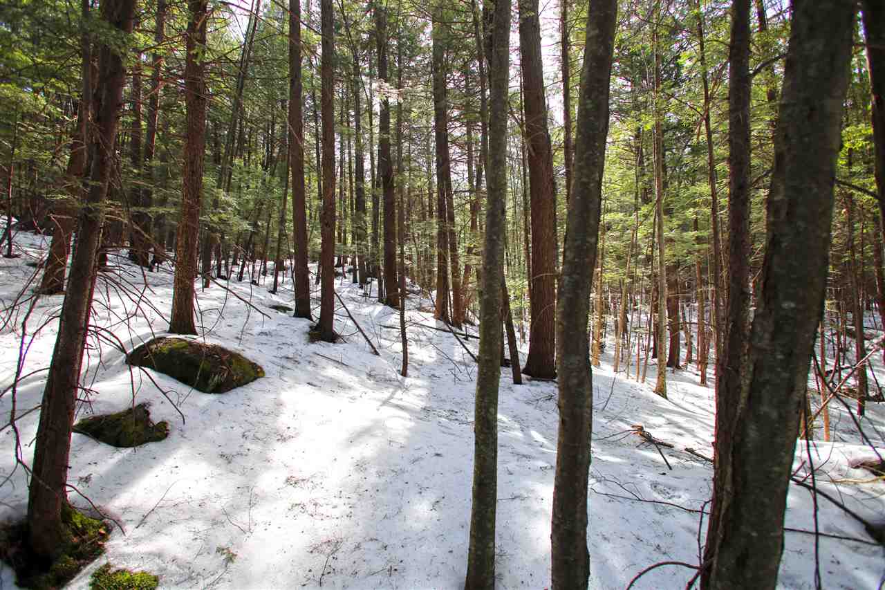1065 Davidson Hill Road Westminster, VT 05158 - Photo 20 of 36