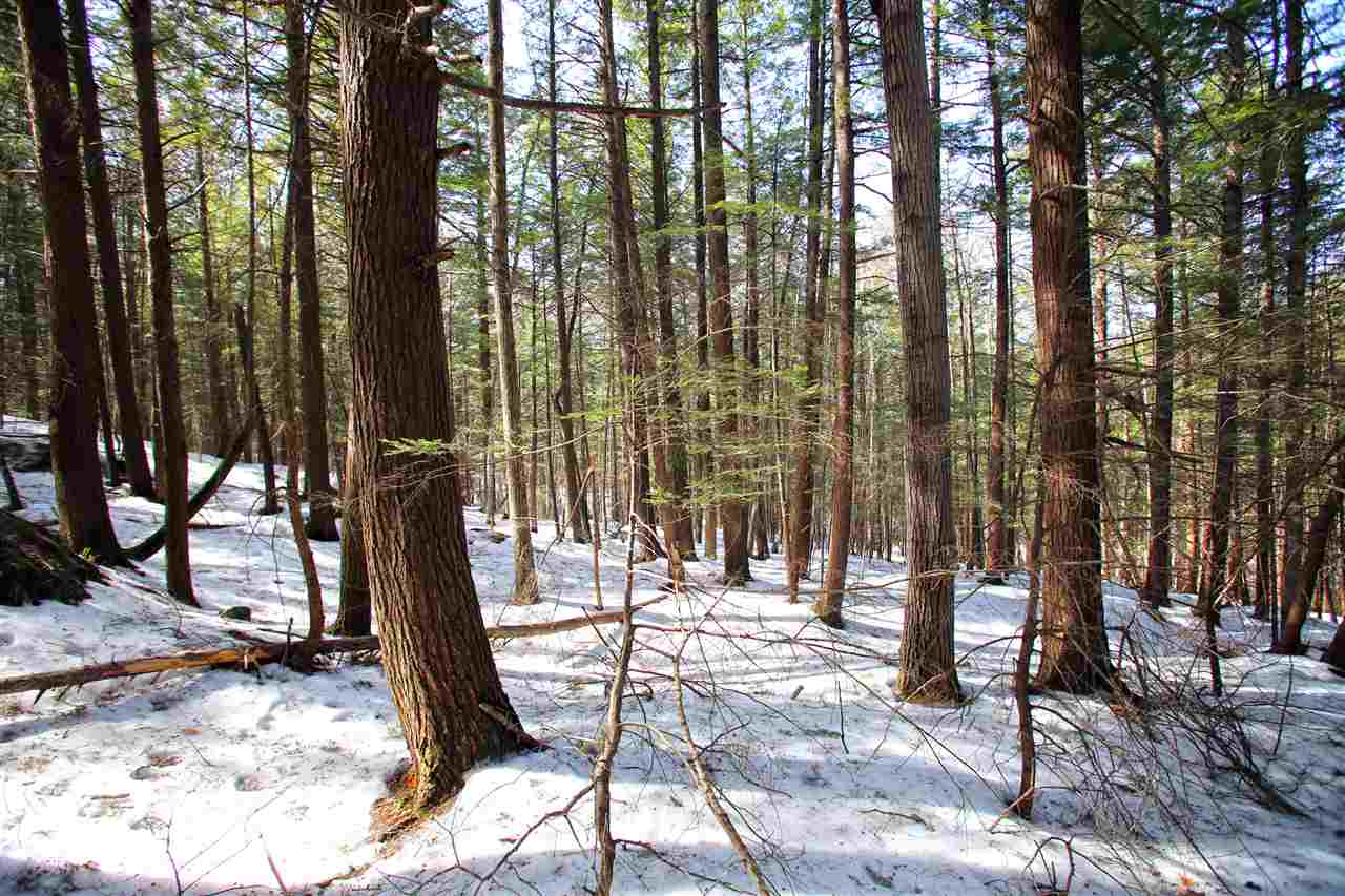 1065 Davidson Hill Road Westminster, VT 05158 - Photo 22 of 36