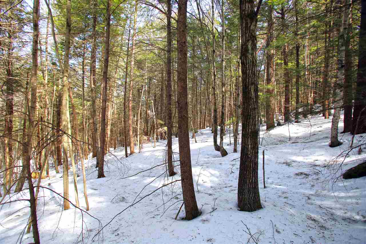 1065 Davidson Hill Road Westminster, VT 05158 - Photo 23 of 36