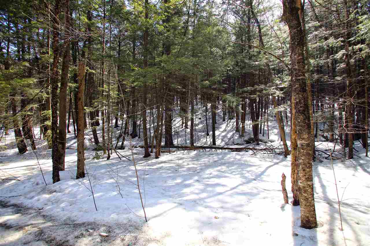 1065 Davidson Hill Road Westminster, VT 05158 - Photo 26 of 36