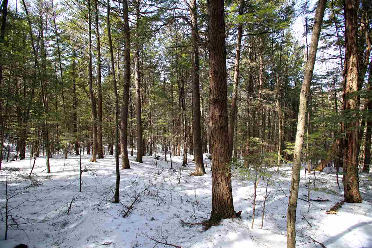 1065 Davidson Hill Road Westminster, VT 05158 - Photo 27 of 36