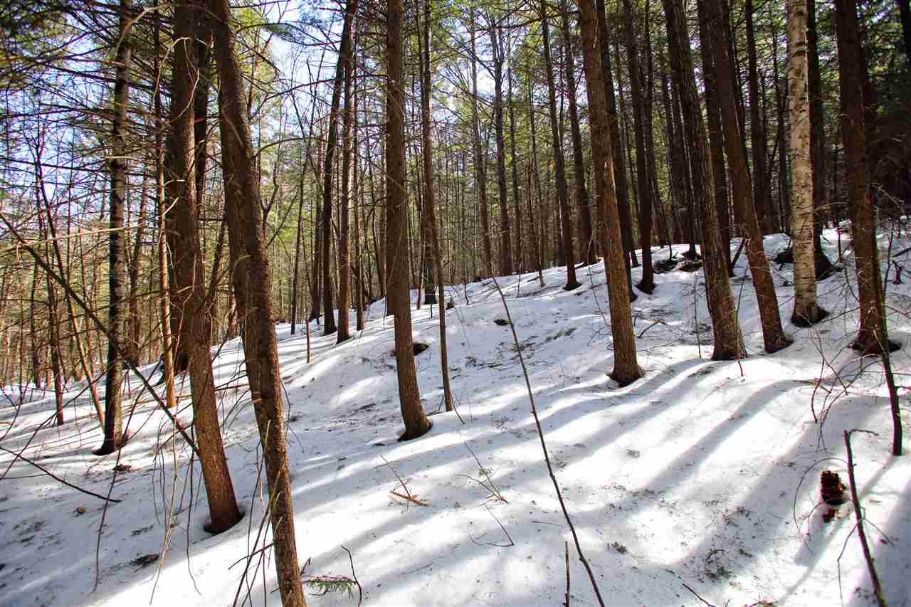 1065 Davidson Hill Road Westminster, VT 05158 - Photo 28 of 36
