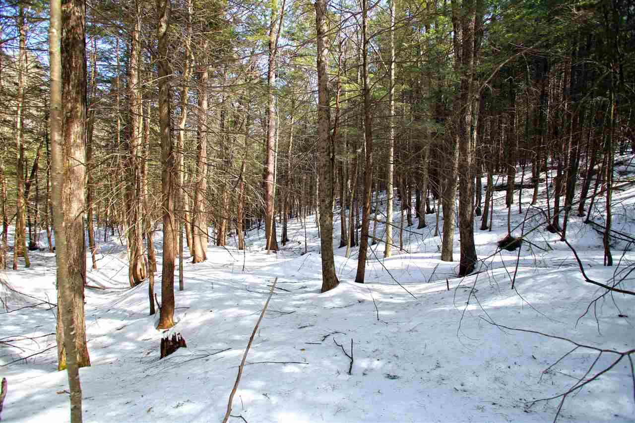 1065 Davidson Hill Road Westminster, VT 05158 - Photo 29 of 36