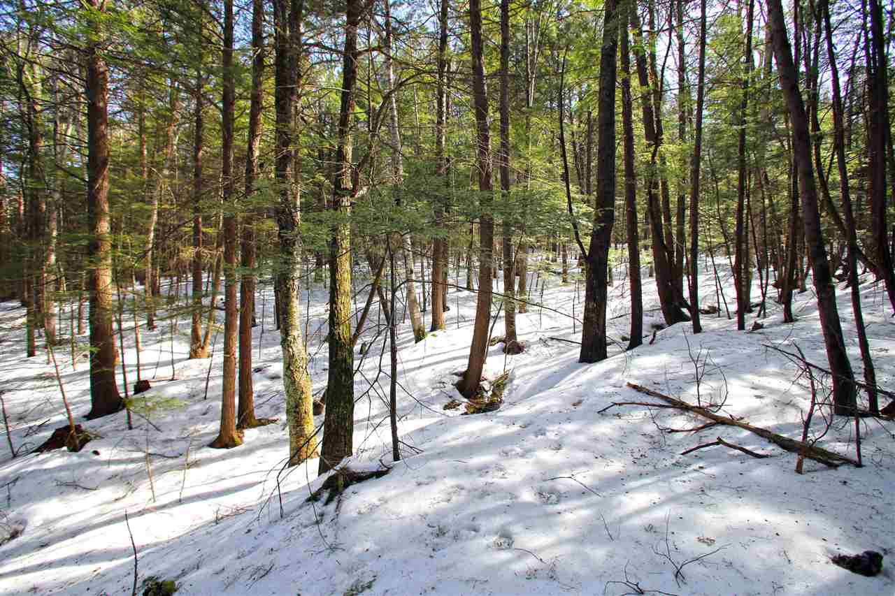 1065 Davidson Hill Road Westminster, VT 05158 - Photo 33 of 36