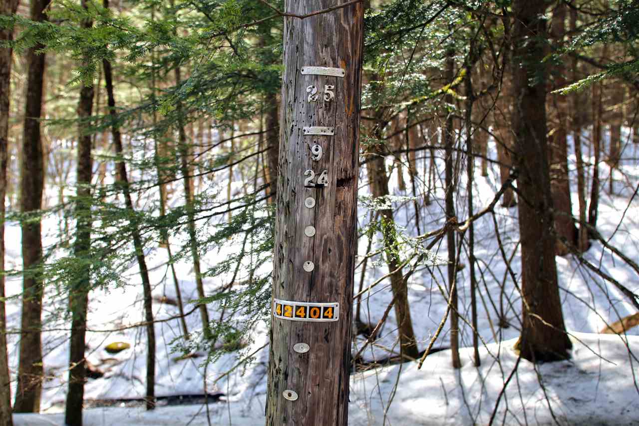 1065 Davidson Hill Road Westminster, VT 05158 - Photo 34 of 36