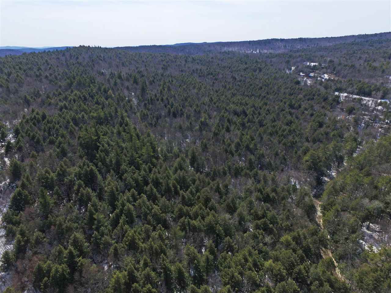 1065 Davidson Hill Road Westminster, VT 05158 - Photo 7 of 36