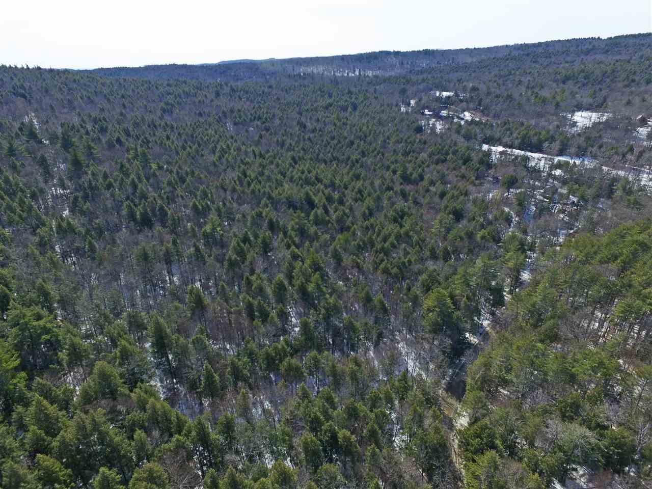 1065 Davidson Hill Road Westminster, VT 05158 - Photo 10 of 36