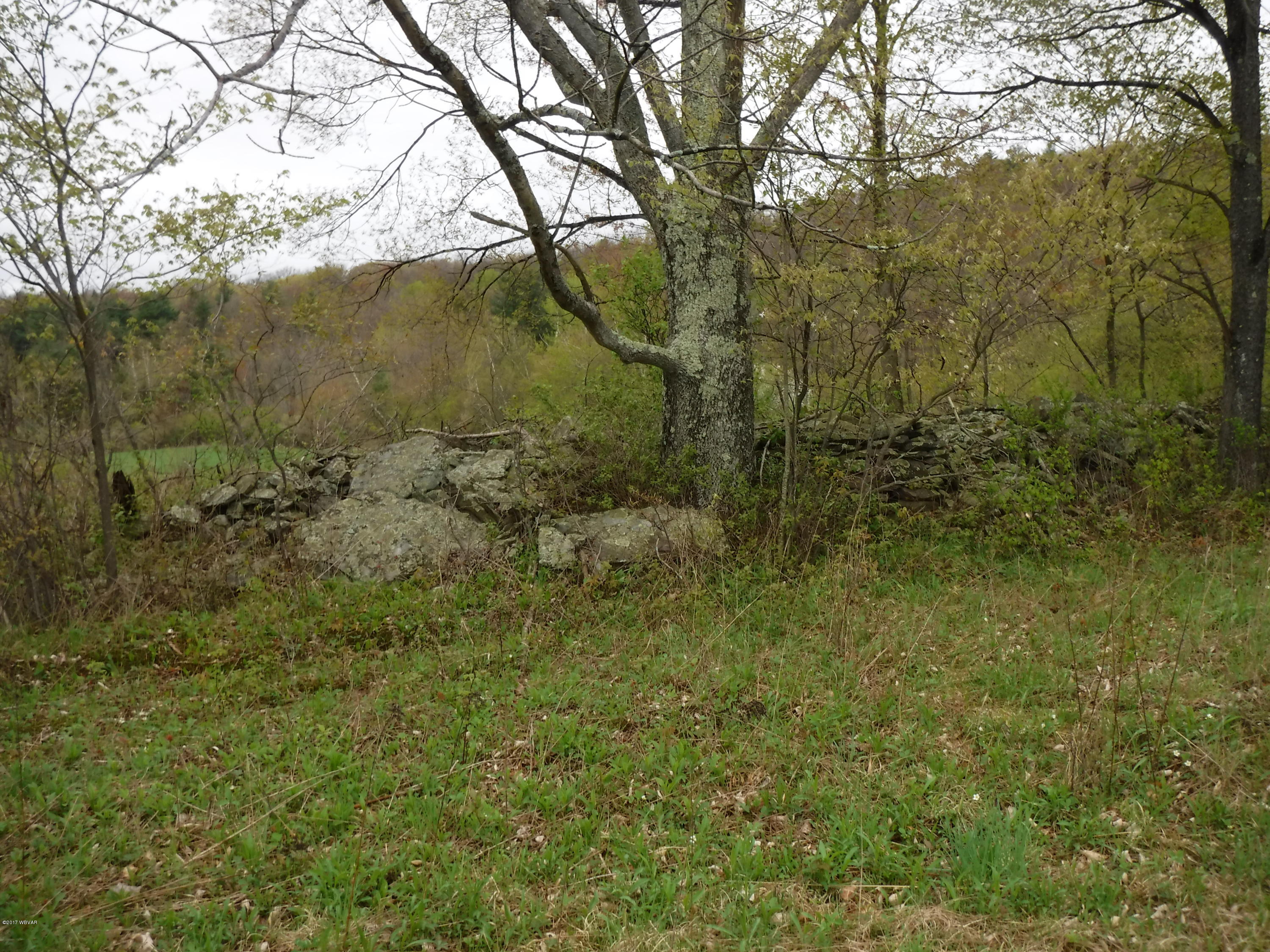 0 Beebe Road New Albany, PA 18833 - Photo 7 of 27 DSCF0169