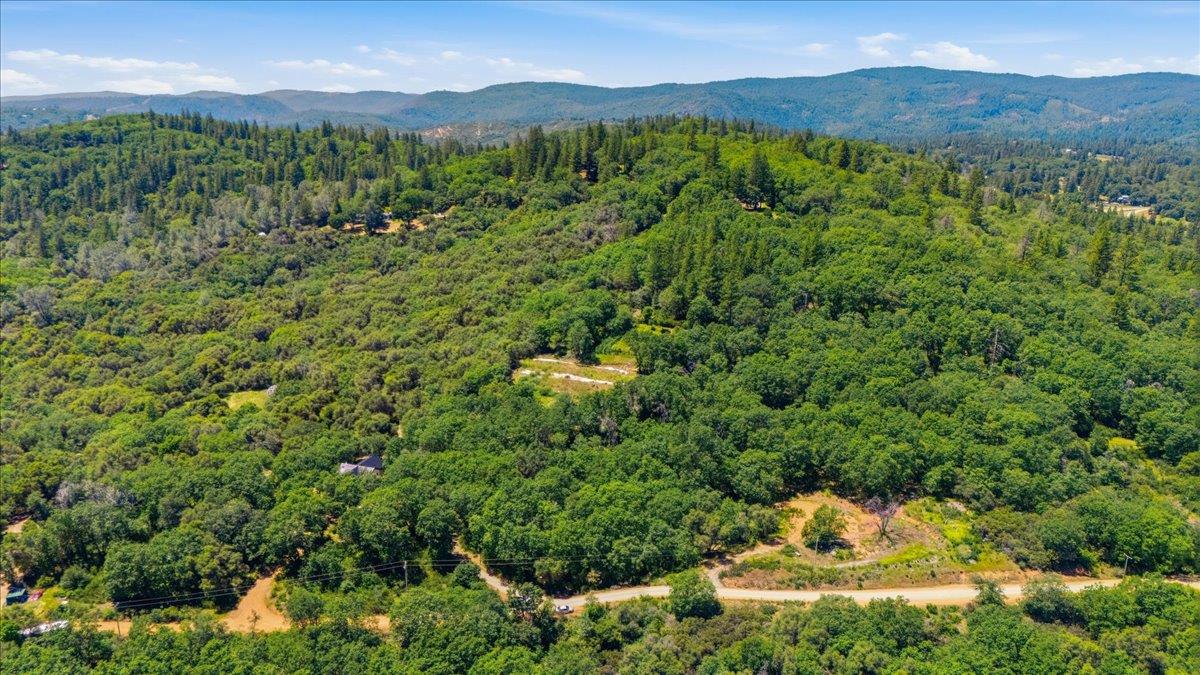 20154 Sky Ridge Place Nevada City, CA 95959 - Photo 1 of 20 a view of a lush green forest with trees in the background