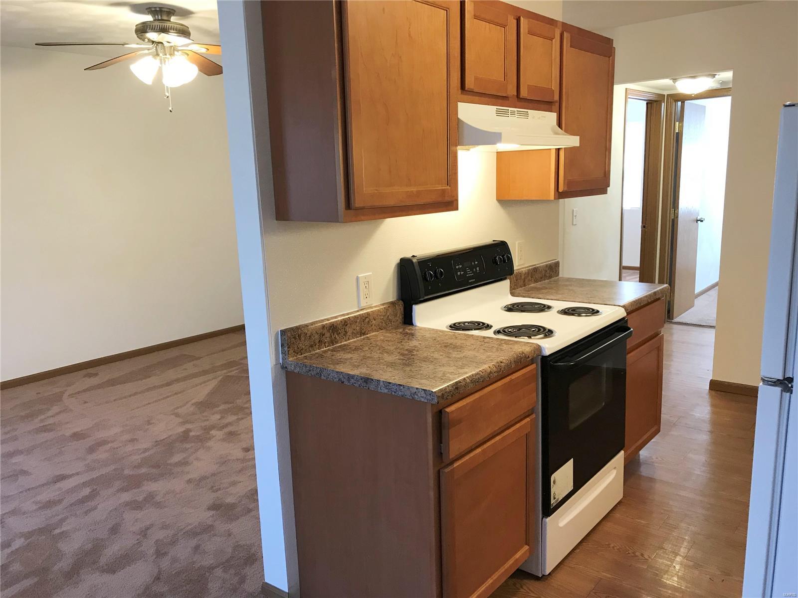 1806 Jamestown Road, Unit 3 Swansea, IL 62226 - Photo 3 of 12