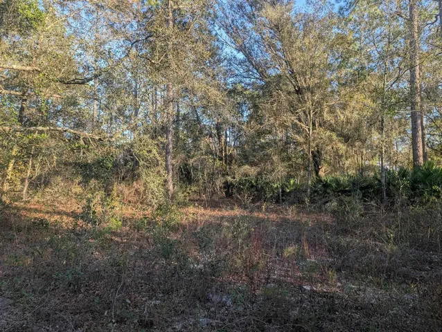 $29,900 | 10300 McMahon Avenue, Hastings, FL 32145