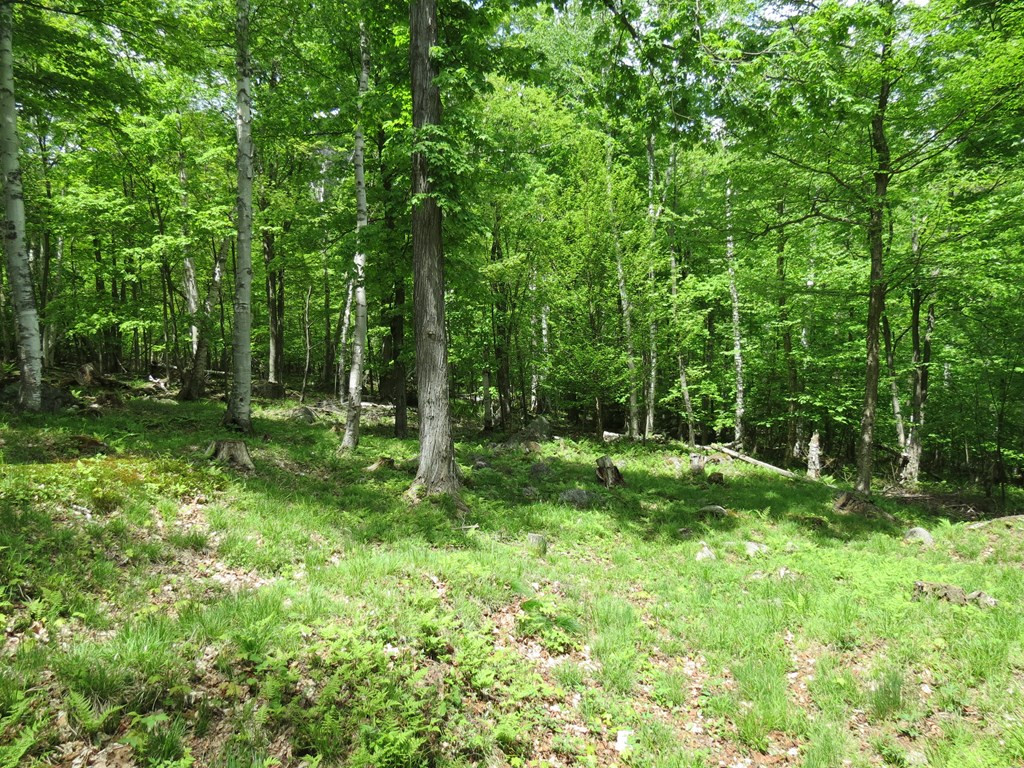 190 Rugged Ridge Way Keene Valley, NY 12943 - Photo 28 of 33 Gallery Image 28