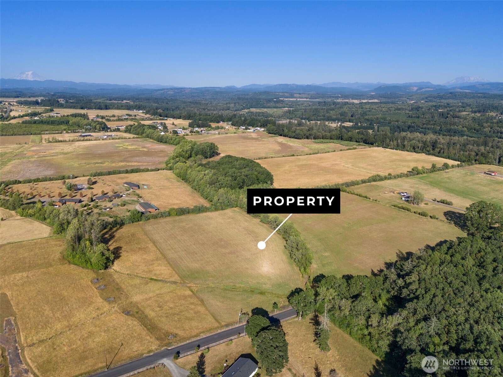 0 Rakoz Road Toledo, WA 98591 - Photo 4 of 16 Gallery Image 4