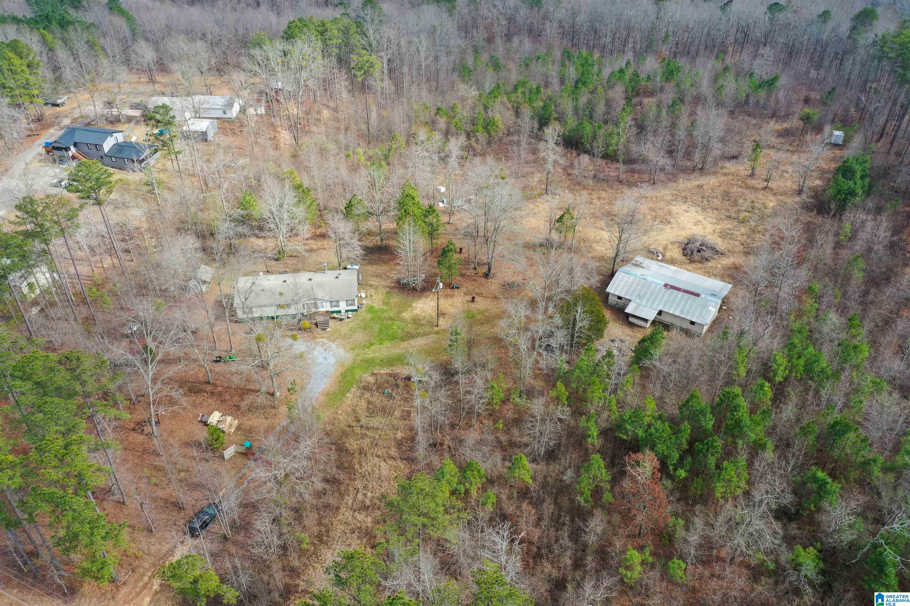 2226 Chula Vista Mtn Road Pell City, AL 35125 - Photo 43 of 47