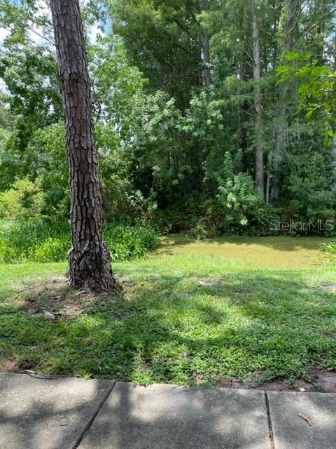 5466 Pine Creek Drive, Unit 2002 Orlando, FL 32811 - Photo 14 of 19 a view of a garden with a tree