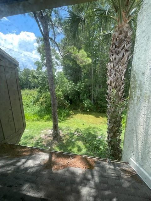 5466 Pine Creek Drive, Unit 2002 Orlando, FL 32811 - Photo 9 of 19 a view of a yard with potted plants and large trees