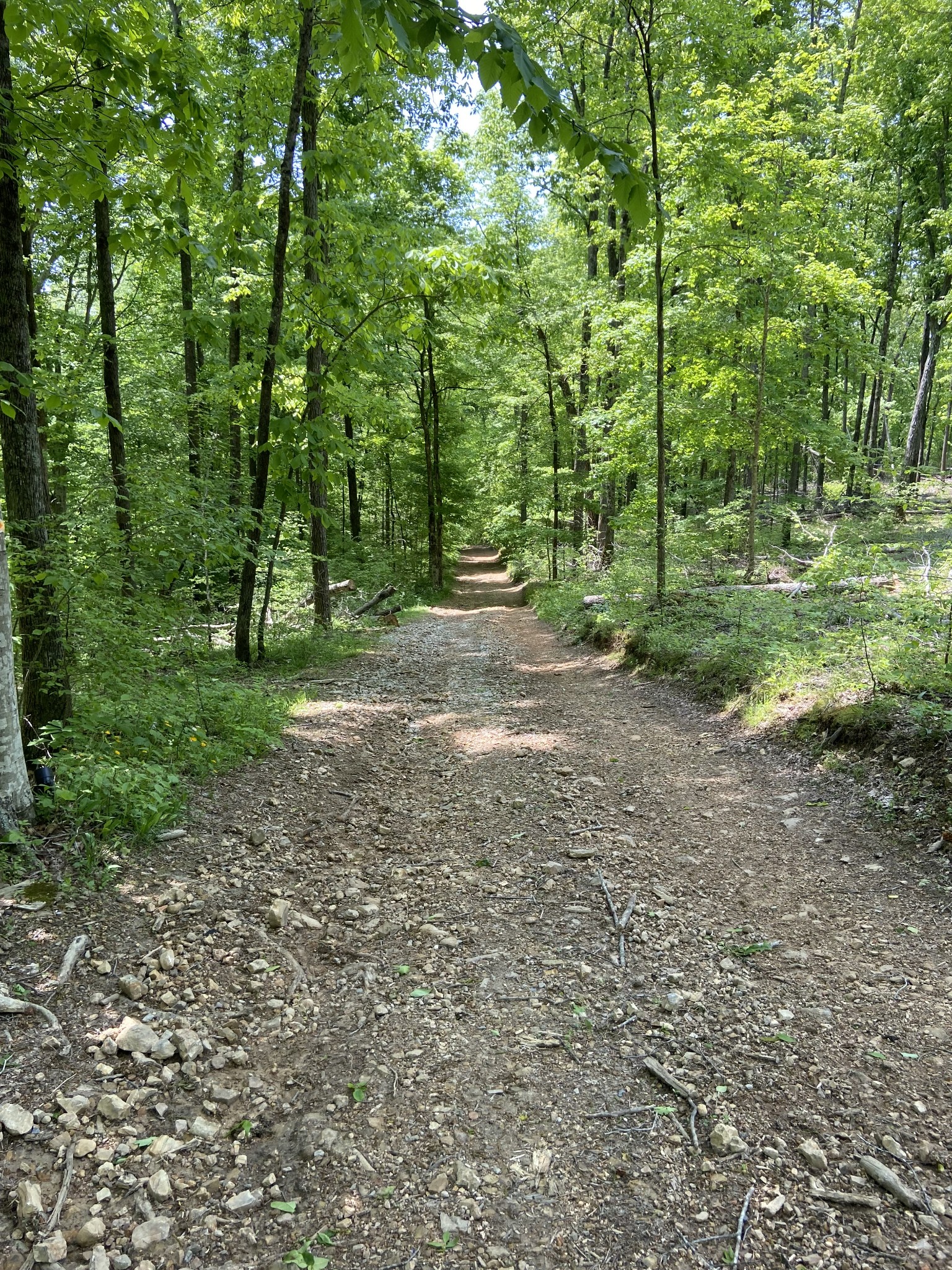 2973 Maysville Road Dickson, TN 37055 - Photo 4 of 10 Gallery Image 4