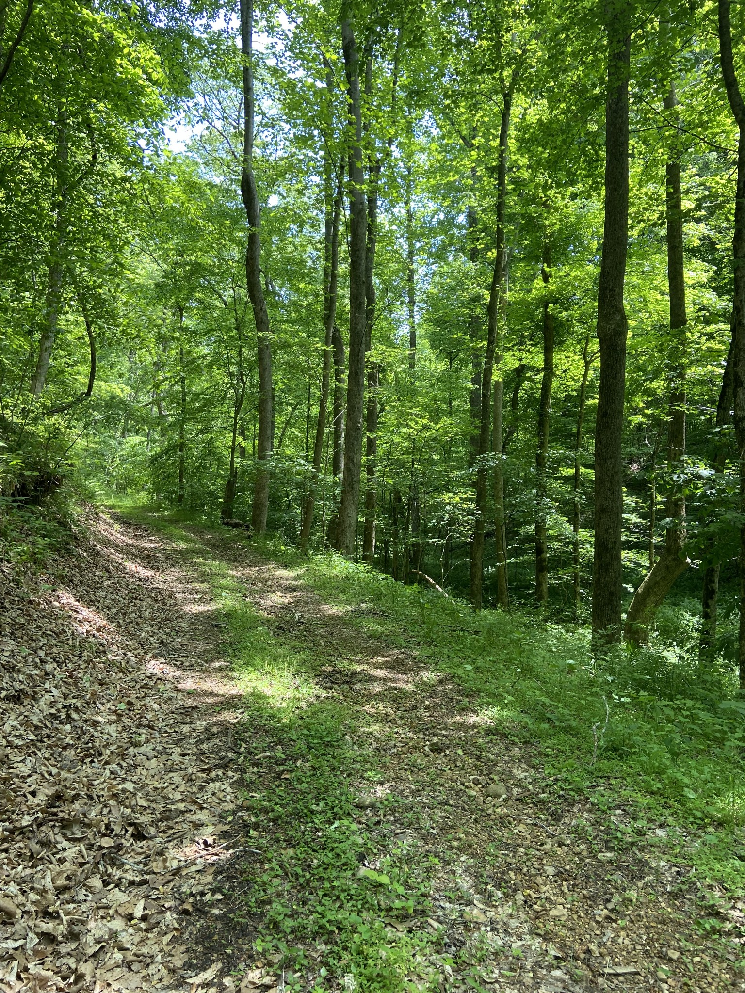 2973 Maysville Road Dickson, TN 37055 - Photo 7 of 10 Gallery Image 7