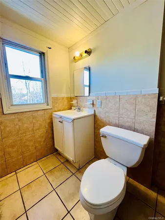 a bathroom with a toilet a sink and a mirror