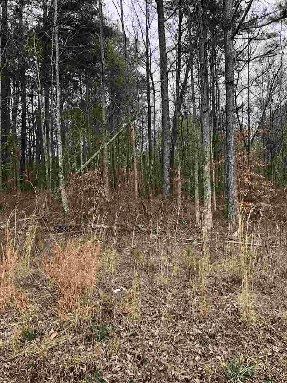 0 Green Shadow Road Southeast Cleveland, TN 37323 - Photo 1 of 14 Gallery Image 1