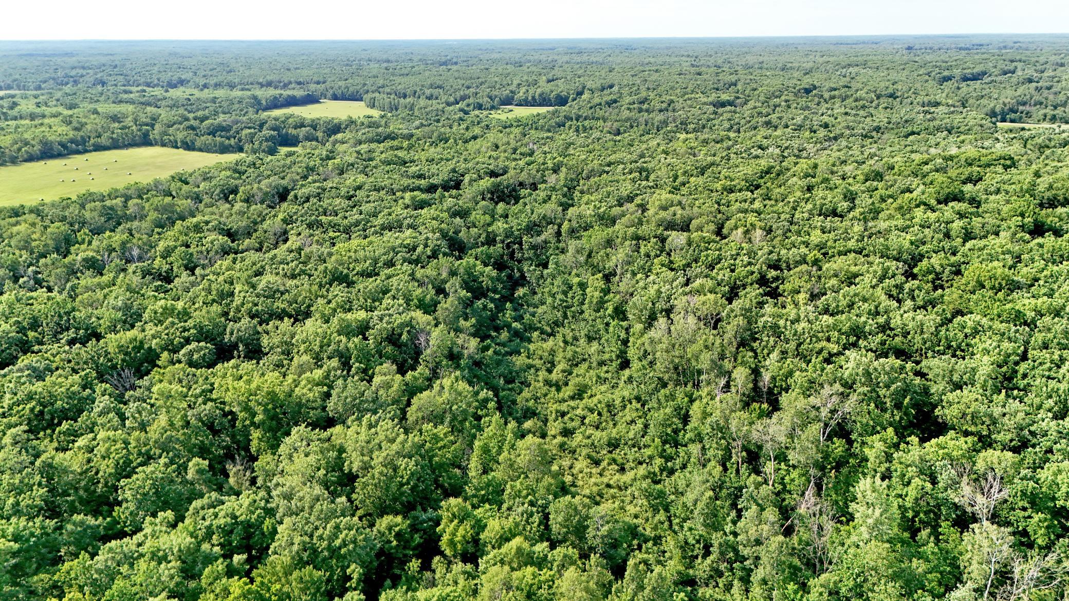 Tbd 155th Avenue Milaca, MN 56353 - Photo 14 of 18