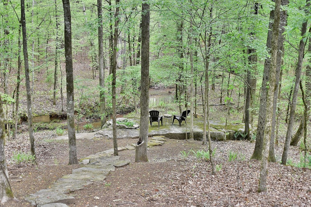 727 Huling Road Fortson, GA 31808 - Photo 40 of 44 Sitting area near the creek