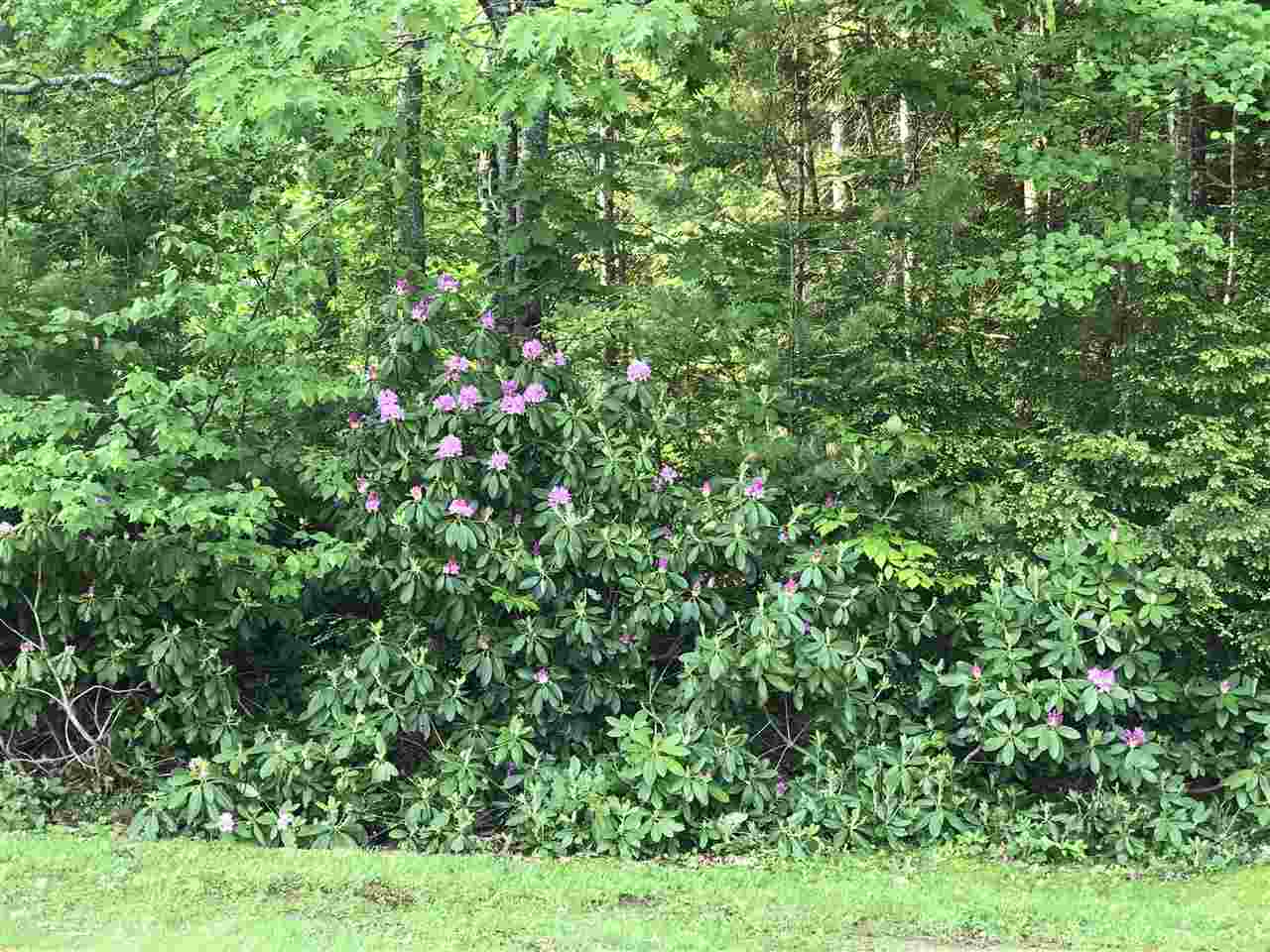 2184 Dick Brown Road Plymouth, NH 03264 - Photo 31 of 34 Gallery Image 31