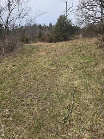 $135,900 | 11763 State Highway, Elkland, MO 65644