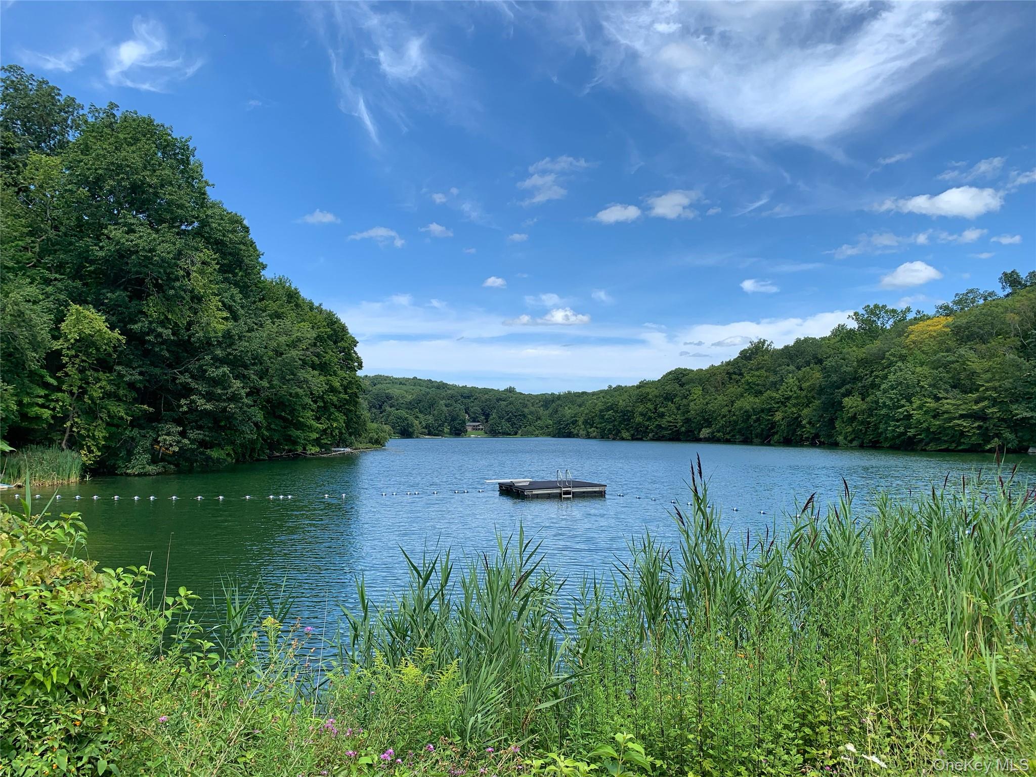 22 Hatfield Road Mahopac, NY 10541 - Photo 38 of 46 Summer at the lake from the community beach.