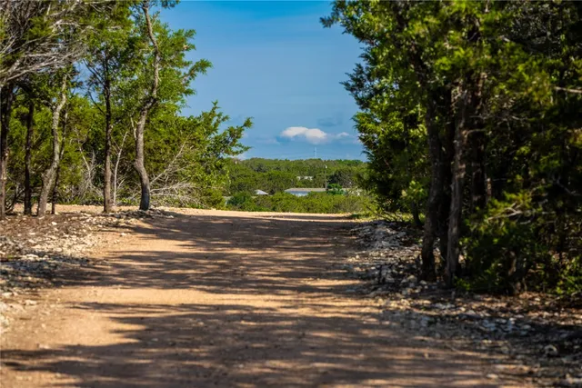 a view of a yard with a tree