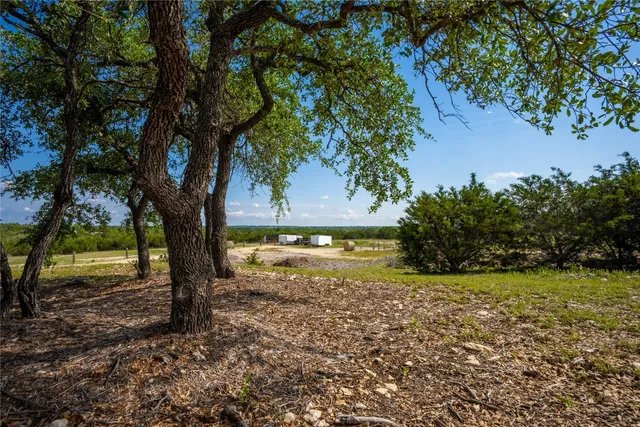 a view of dirt yard with a large tree