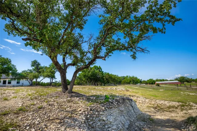a view of a house with a small yard and a large tree