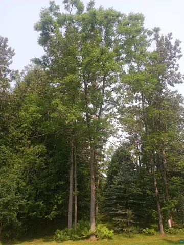 $254,500 | 22715 Elm Street, Cornucopia, WI 54827