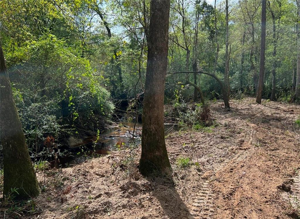 0 No Address Road Covington, LA 70435 - Photo 2 of 10