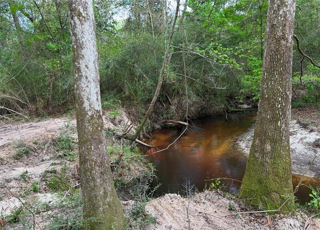 0 No Address Road Covington, LA 70435 - Photo 3 of 10