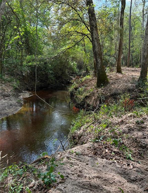 0 No Address Road Covington, LA 70435 - Photo 4 of 10