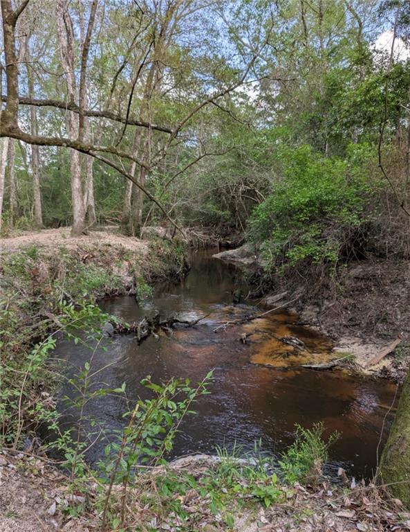 0 No Address Road Covington, LA 70435 - Photo 5 of 10