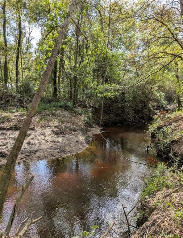 0 No Address Road Covington, LA 70435 - Photo 6 of 10