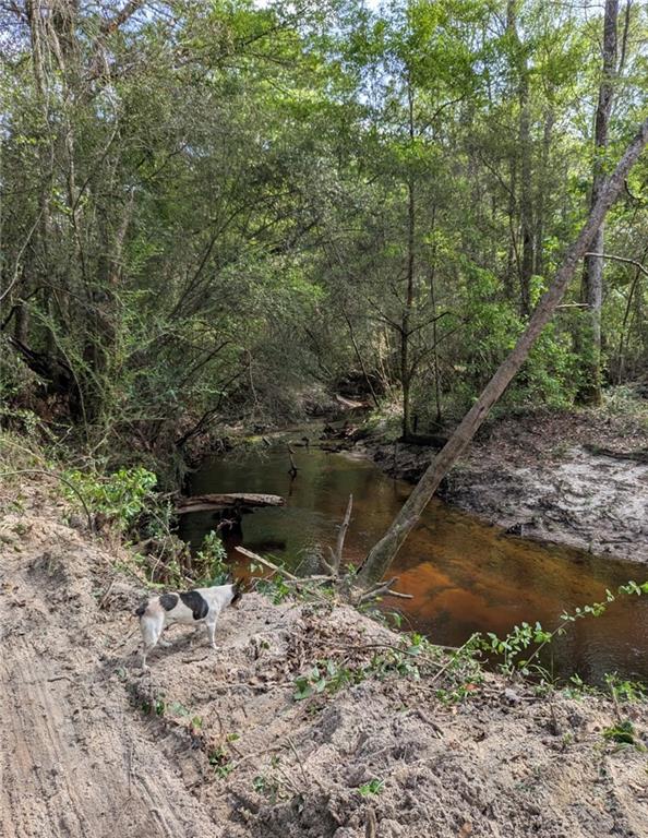 0 No Address Road Covington, LA 70435 - Photo 7 of 10