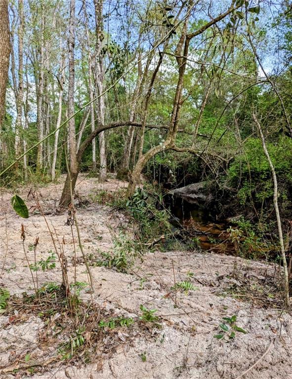 0 No Address Road Covington, LA 70435 - Photo 8 of 10