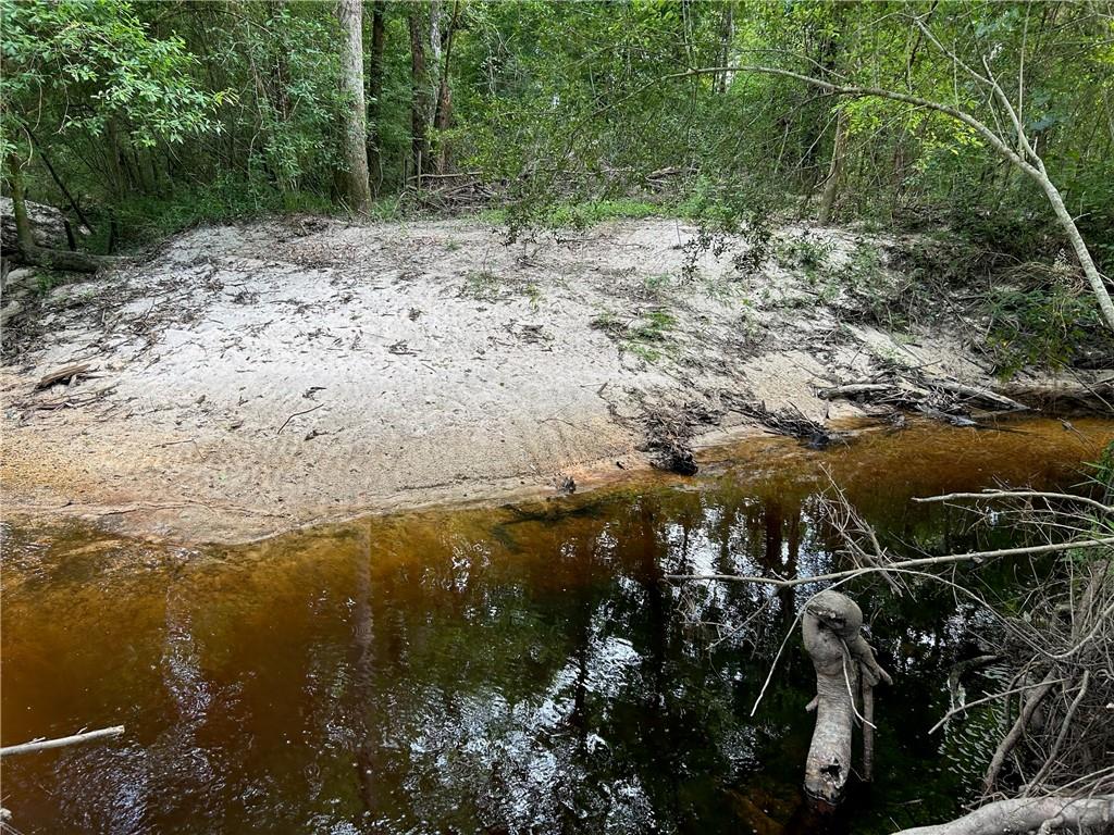 0 No Address Road Covington, LA 70435 - Photo 10 of 10