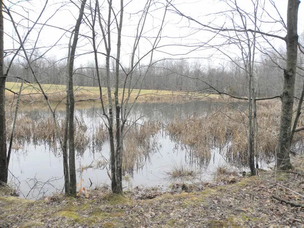 $489,900 | 3401 Mitten Road, Bowling Green, IN 47833