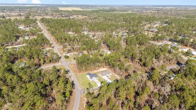 view of city and green space