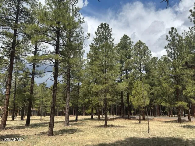 $585,000 | Lot 1 Hattie Green, Unit 1, Flagstaff, AZ 86001