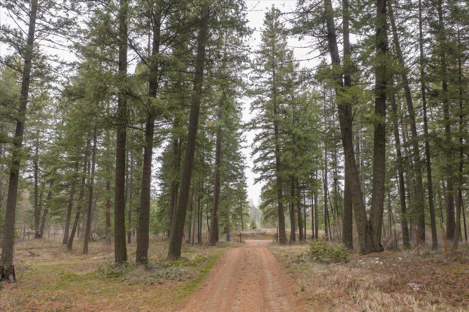 11006 East Boundary Road Elk, WA 99009 - Photo 45 of 50