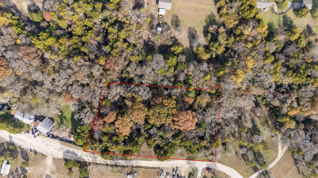 313 Simmons Drive Cedar Hill, TX 75104 - Photo 17 of 19