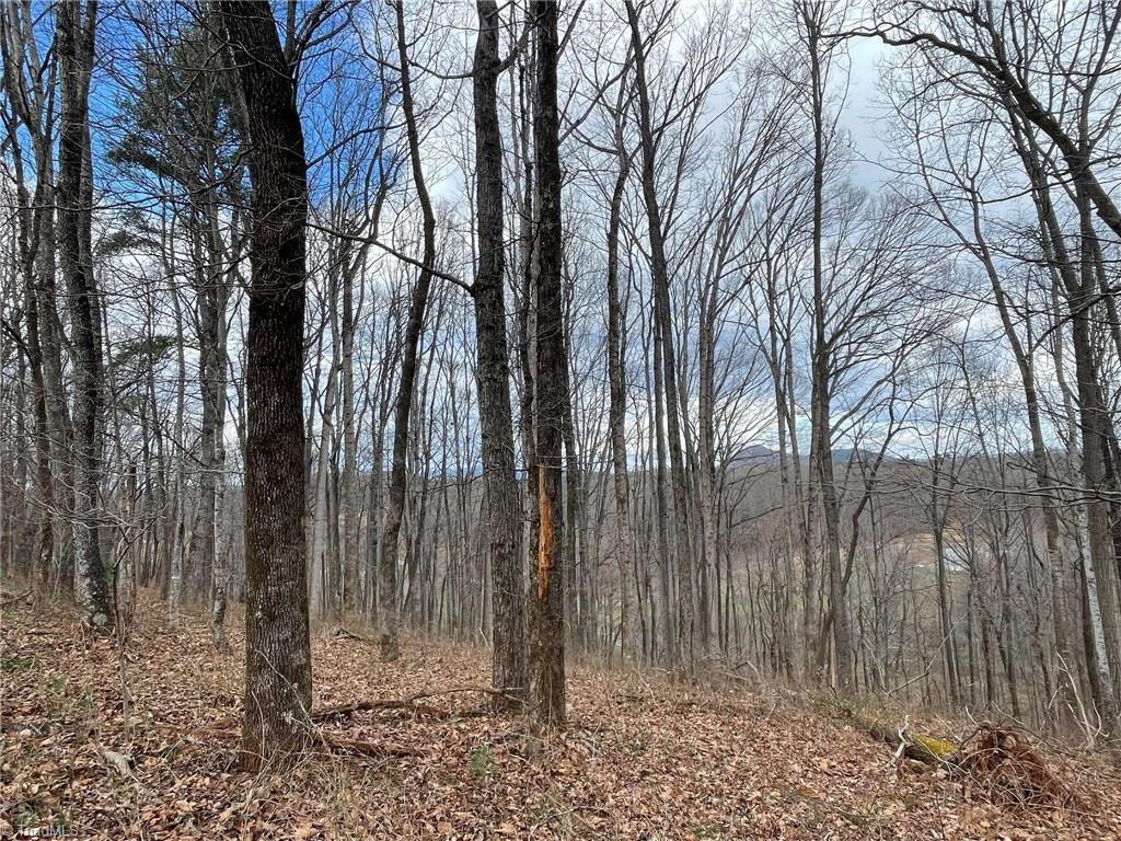 0 Overton Road Dobson, NC 27017 - Photo 12 of 30 Gallery Image 12