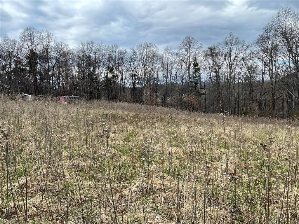 0 Overton Road Dobson, NC 27017 - Photo 18 of 30 Gallery Image 18